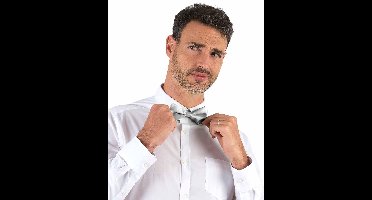 Vegaoo - Glanzend zilverkleurig strikje voor volwassenen