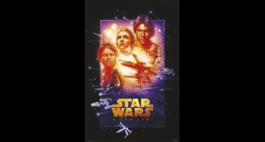 Star Wars poster - A New Hope - Skywalker - Darth Vader -special edition - 61 x 91.5 cm