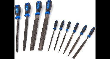 10 Delige Professionele Vijlenset 200 mm