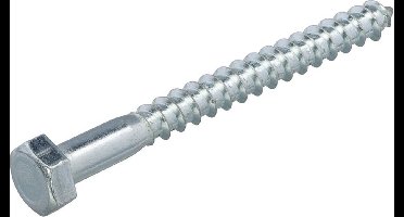 Houtdraadbouten - DIN571 Zeskant - M6 x 20mm - Verzinkt (200 stuks)