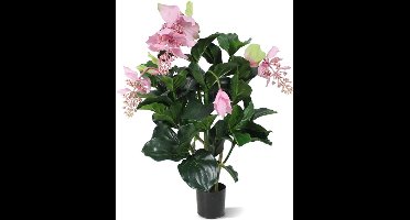 Medinella deluxe kunstplant 100cm