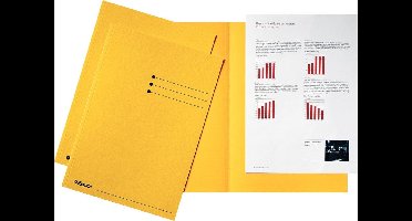 INLEGMAP ESSELTE KARTON GEEL