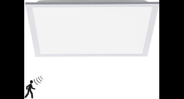 Plafondlamp Fleet Wit incl. Bewegingssensor 45cm