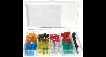 steekzekeringen - 80 stuks + tang - Assortiment doos