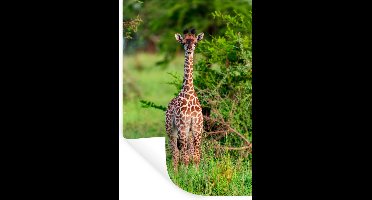Muurstickers - Sticker Folie - Baby - Giraffe - Planten - 20x30 cm - Plakfolie - Muurstickers Kinderkamer - Zelfklevend Behang - Zelfklevend behangpapier - Stickerfolie