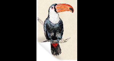 Muurstickers - Sticker Folie - Een kleurrijke illustratie van een toekan - 20x30 cm - Plakfolie - Muurstickers Kinderkamer - Zelfklevend Behang - Zelfklevend behangpapier - Stickerfolie