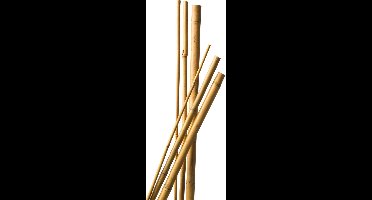 70x Bamboestokken / tonkinstokken - 90 cm - diameter 8-10 mm - plantensteunen / plantstokken