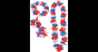 Hawaii set Nederland