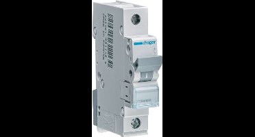 Hager Installatieautomaat 1-polig 40 A B-karakteristiek 6 kA