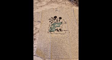 T-shirt - Disney - Mickey Mouse en Pluto - Grijs - Mt 140