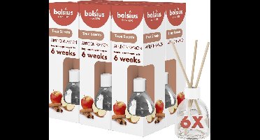 Bolsius True Scents - Geurstokjes - Apple Cinnamon - 6 stuks - Voordeelverpakking - 60ml