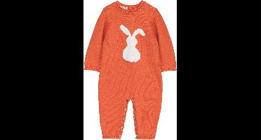 Minora gebreide unisex boxpakje- Baby jongens en meisjes- Maat 68- 4/6 maanden-Newborn overalls winter- Konijn patroon romper- Baby kleding jongens-Kraamcadeau- Sinterklaas