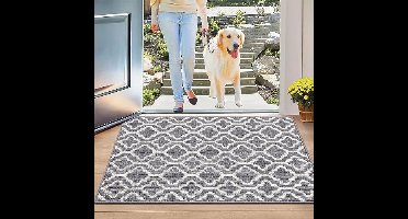 Deurmat Binnen, 80 x 120cm Schoonloopmat Deurmat Antislip Entree Deurmat Wasbaar Slijtvast Vuilvangmat binnen en buiten, voor huisdeur, ingang, woonkamer