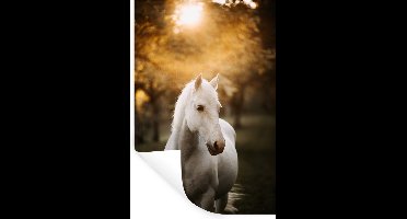 Muursticker kinderen - Deurdecoratie jongens - Paard - Zon - Herfst - Dieren - Natuur - 20x30 cm - Muurdecoratie meisjeskamer - Kamer decoratie - Zelfklevend behangpapier - Stickerfolie