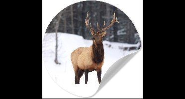 WallCircle® - Behangcirkel 30x30 cm - Muurstickers Hert - Sneeuw - Winter - Muurcirkel woonkamer - Wandcirkel slaapkamer - Kamer decoratie zelfklevend - Muurdecoratie accessoires