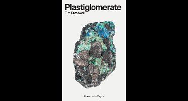 Plastiglomerate