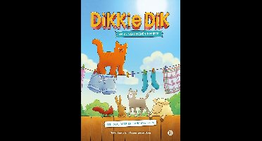 Dikkie Dik - En De Verdwenen Knuffel (DVD)