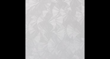 Patifix Plakfolie - waaier - semi-transparant - 45 x 200 cm - zelfklevend