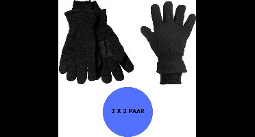 Heatkeeper - Fleece thermo handschoenen - Heren - Zwart - L/XL - 2-Paar - Handschoenen fleece