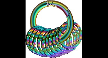 Ronde Karabijnhaak Sleutelhanger met 10 Sleutelringen - Kleurrijk - Musketonhaak Keychain voor Volwassenen - Mini Musketon en ringetjes - Auto Klein Carabiner Sleutel Hanger, Houder - Karabijn haak ringen - Karabijnsluiting