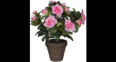 Mica Decorations Kunstplant - 1x - Azalea - groen/lichtroze - 27 cm - Met mooie bloemen