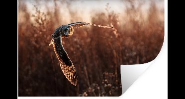 Muurstickers - Sticker Folie - Vogel - Uil - Zonsondergang - Natuur - 30x20 cm - Plakfolie - Muurstickers Kinderkamer - Zelfklevend Behang - Zelfklevend behangpapier - Stickerfolie