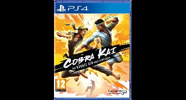 Cobra Kai: The Karate Kid Saga Continues - PS4