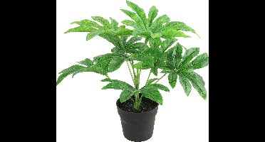 Countryfield Kunstplant Fatsia plant in bloempot - Groen - 15 x 32 cm