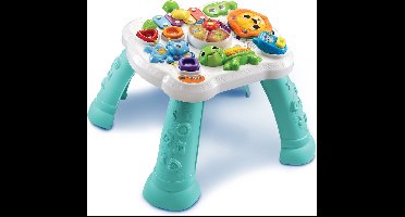 VTech Baby 80-540807 educatief speelgoed