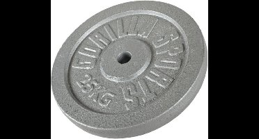 Gorilla Sports Gewichtsschijf - Halterschijf - 25 kg - Gietijzer - 30 mm