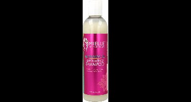 Shampoo Mielle Mongongo Oil Scrub (240 ml)