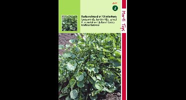 2 stuks - Hortitops - Tuinkers Overblijvende De Jardin