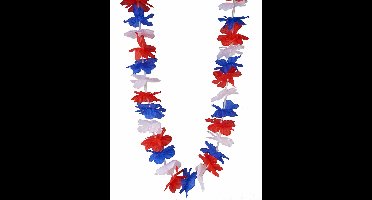 Vegaoo - Nederlandse bloemen krans voor volwassenen