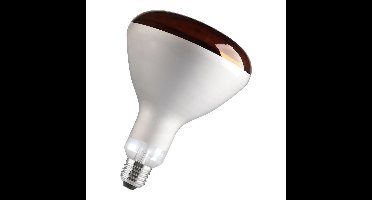 Philips - Incandescent reflector lamp Gloeilamp 871150057520325