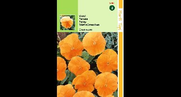 2 stuks Hortitops Viola Tric. Max. Oranjezon