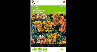 2 stuks - Buzzy - Gazania Splendens Hybrida Sunshine Gemengd