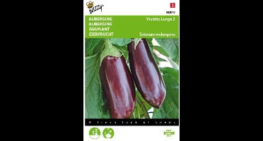 2 stuks - Buzzy - Aubergine Halflange Violette