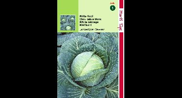 2 stuks - Hortitops - HT Wittekool Langedijker Bewaar