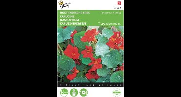 2 stuks - Buzzy - Tropaeolum majus nanum Empress Of India
