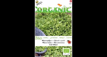 5 stuks - Buzzy - Organic Andijvie gele Volhart (Skal 14725)