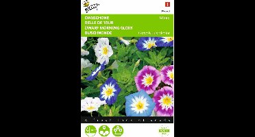 2 stuks - Buzzy - Convulvulus Gemengde Kleuren