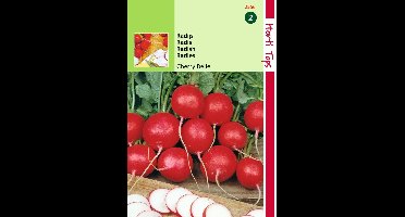 2 stuks Hortitops Radijs Cherry Belle