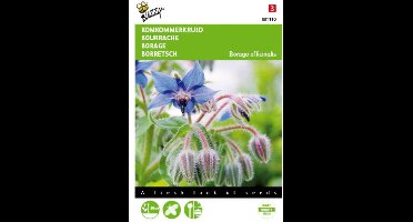 2 stuks Komkommerkruid ( Borago officinalis)