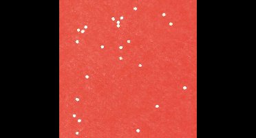Zijdepapier - Glitters - Zilver op rood - Budget - 50x75 cm - Pak a 240 vellen