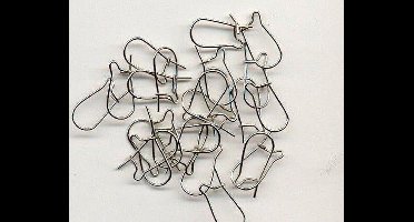 Oor haakjes platinum 24 ST 11808-1411