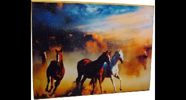 Paarden schilderij 29 cm x 39 cm