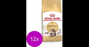 Royal Canin Maine Coon Adult - Kattenvoer - 12 x 400 g