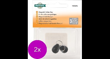 Petsafe Sleutel 980 Muis - Kattenluik - 2 x Zilver 2 stuks