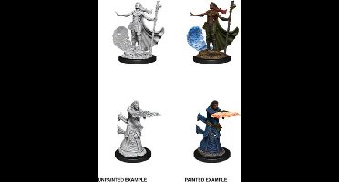 Human wizard, Female - Nolzurs