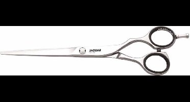 Jaguar Jaguar Schaar Diamond E 43 6.0 21600